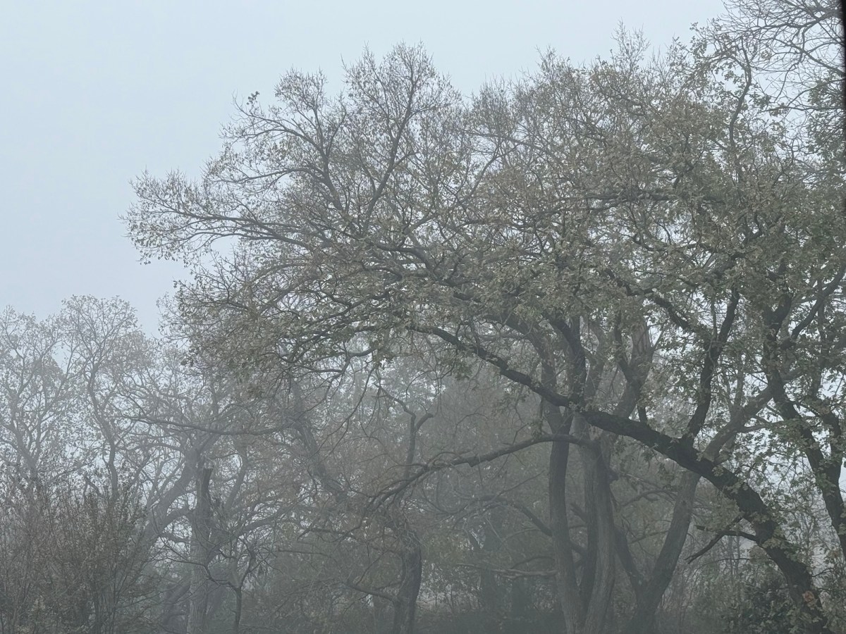 Contemplating the Current Moment